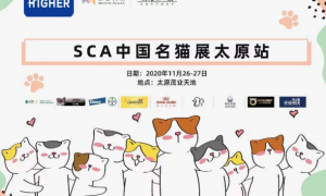专注 专心 专情 海之格赞助SCA中国名猫展