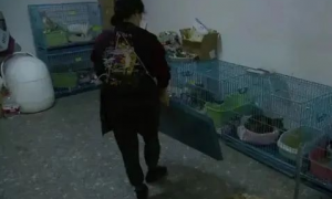 上海一女子在小区的车库内养10只病猫！扬言：我有车库的产权！他人无权管…