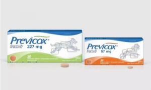 previcox宠物止疼药说明书-previcox宠物止疼药副作用-previcox官网