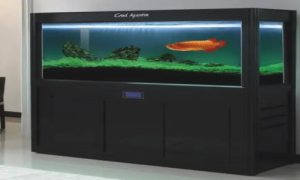 森森鱼缸官网-森森鱼缸售后服务-森森鱼缸安装视频